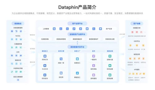 企業(yè)數(shù)據(jù)系統(tǒng)建設(shè) 治理價(jià)值凸顯，2025主流產(chǎn)品與服務(wù)全景展望